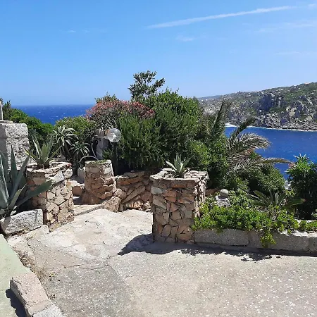 Overlooking The Sea